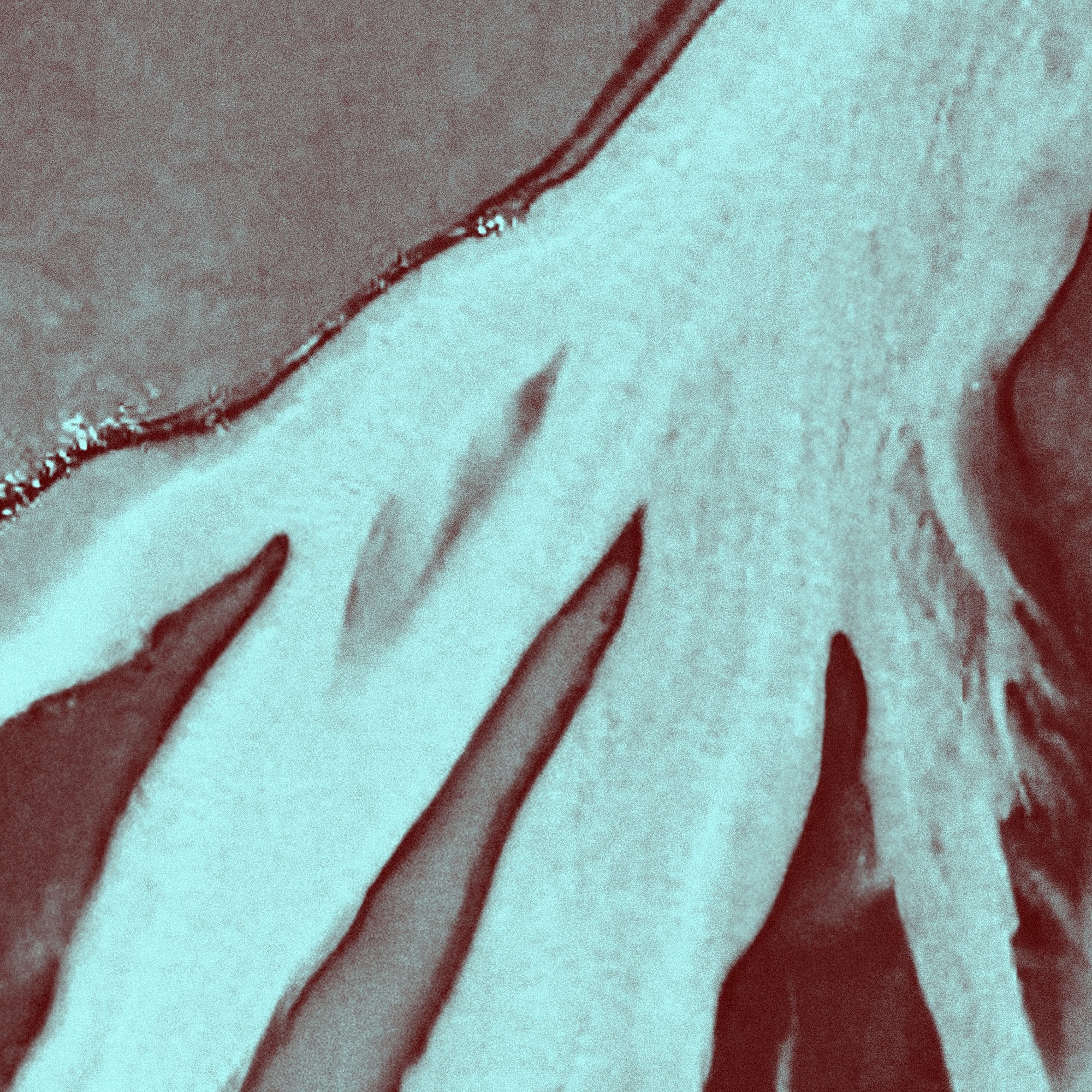 Disperse