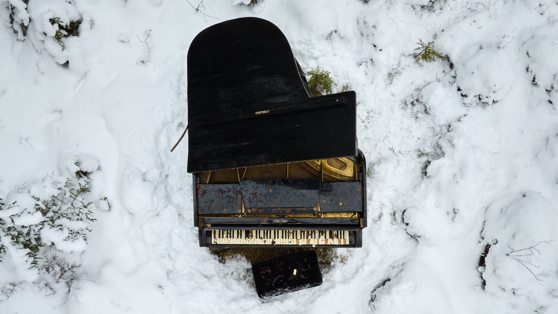 Frozen Piano
